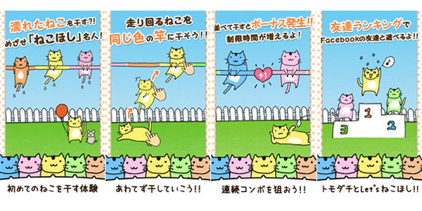 ねこほし